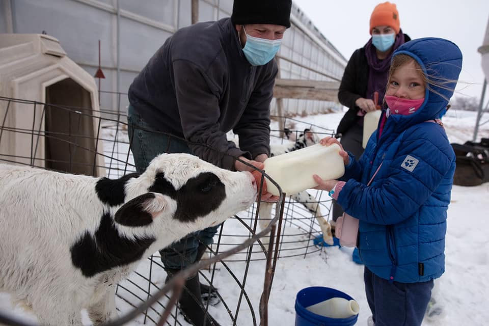 a group of kids and a man bottle feeding a dairy calf