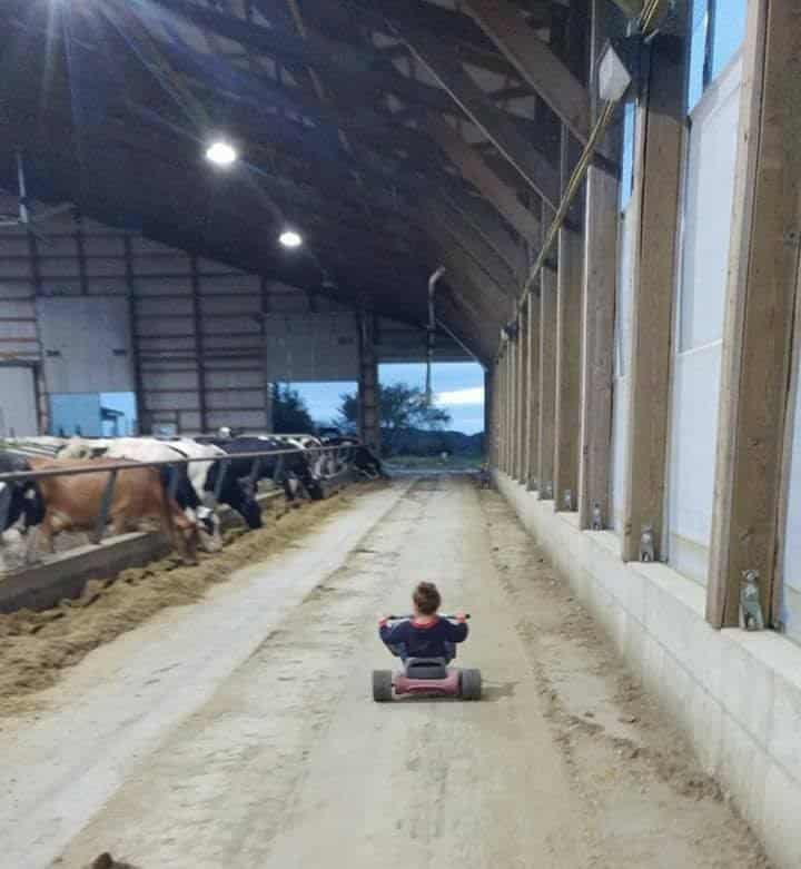 Inside New Day Dairy's barn