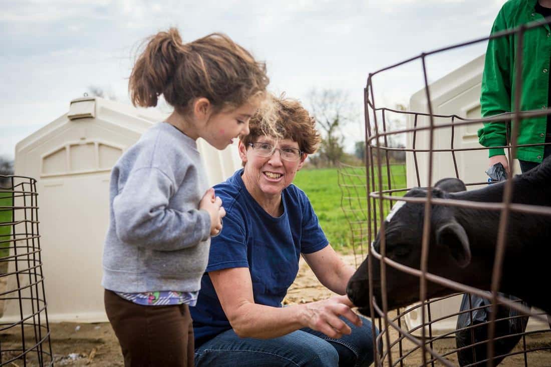 Up close with a baby calf