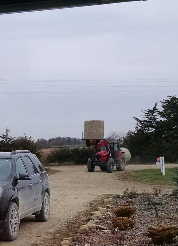 Stalk Bales 