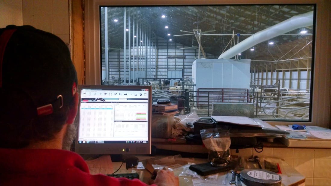 Checking the Computer and looking into the barn