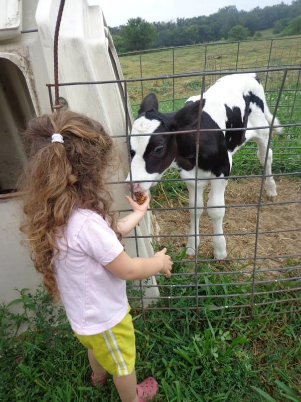 Girl with Calf