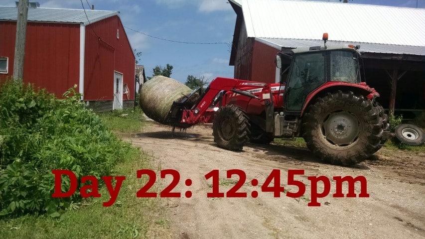 Feeding a Bale with a Tractor