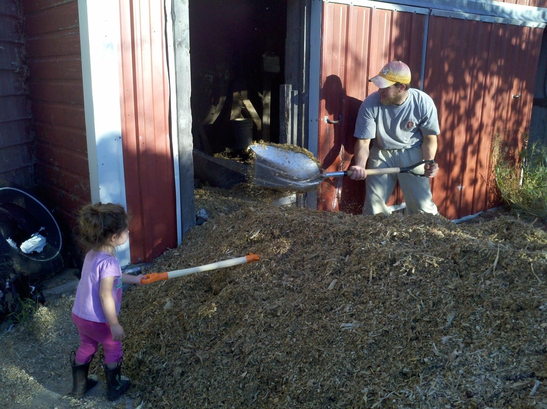 Helping Scoop Feed