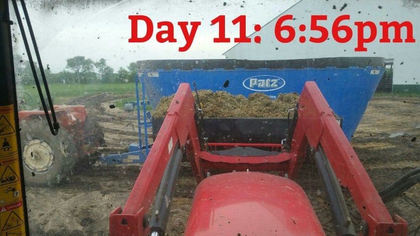 Mixing Feed for the Cows