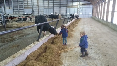 Pushing up feed