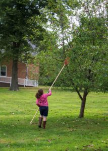 girl picking apples with an apple picker