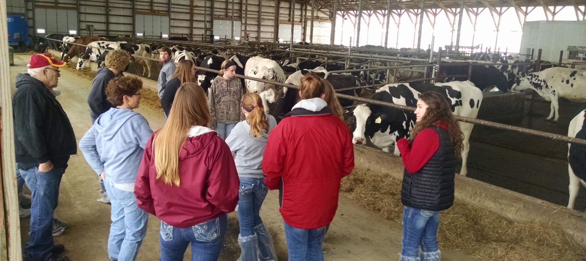 Group of people standing in a dairy barn with cows.