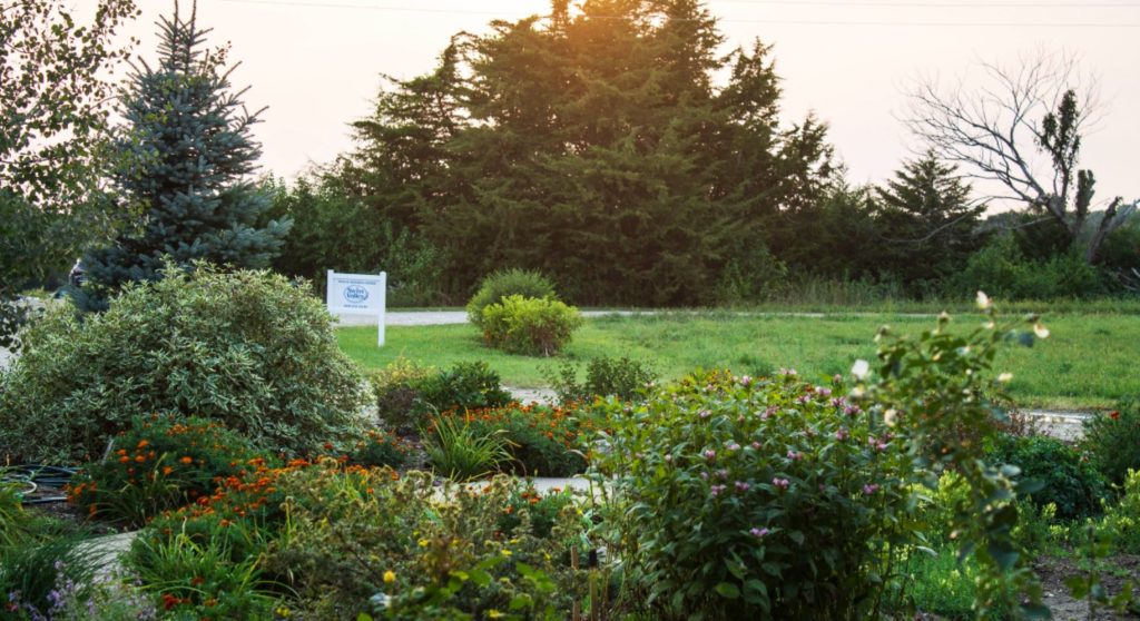 lush green garden with sign in the background and trees beyond that