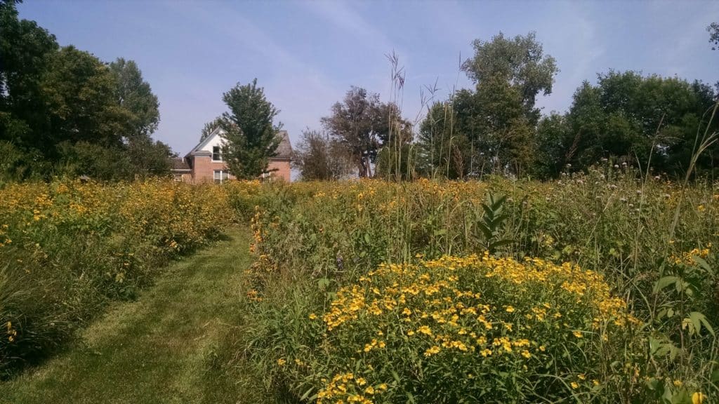 restored praire lands with brick house in the background