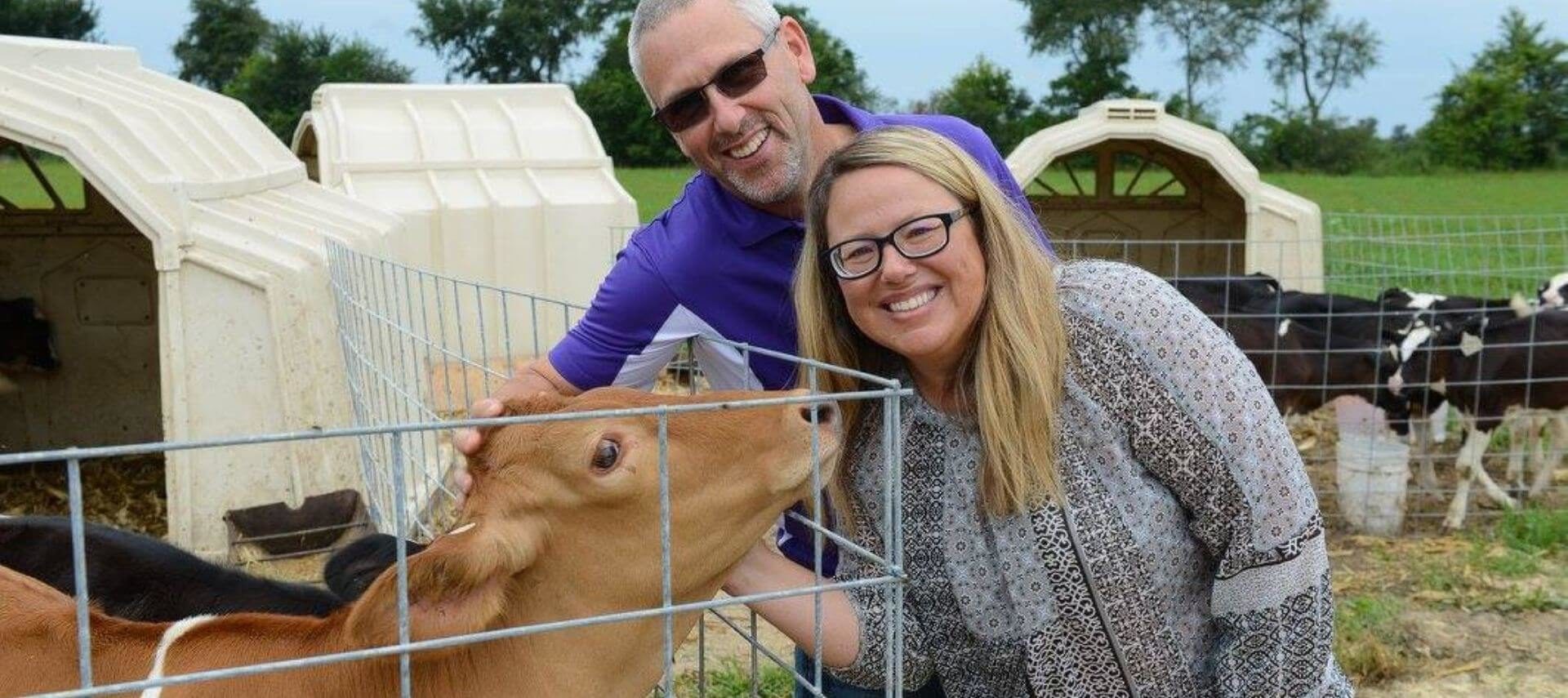 man and woman petting a dairy calf