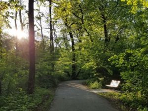 Bike Trail through woods with bench by the side