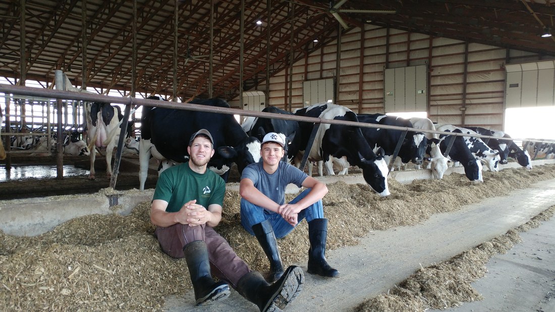 Dan & Lewis with the cows