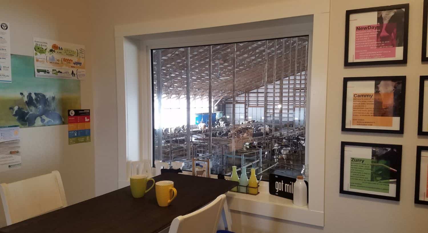 Room with a wooden table and chairs with a window overlooking dairy cow operations