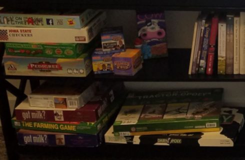 shelves with games, puzzles, DVD's, and books