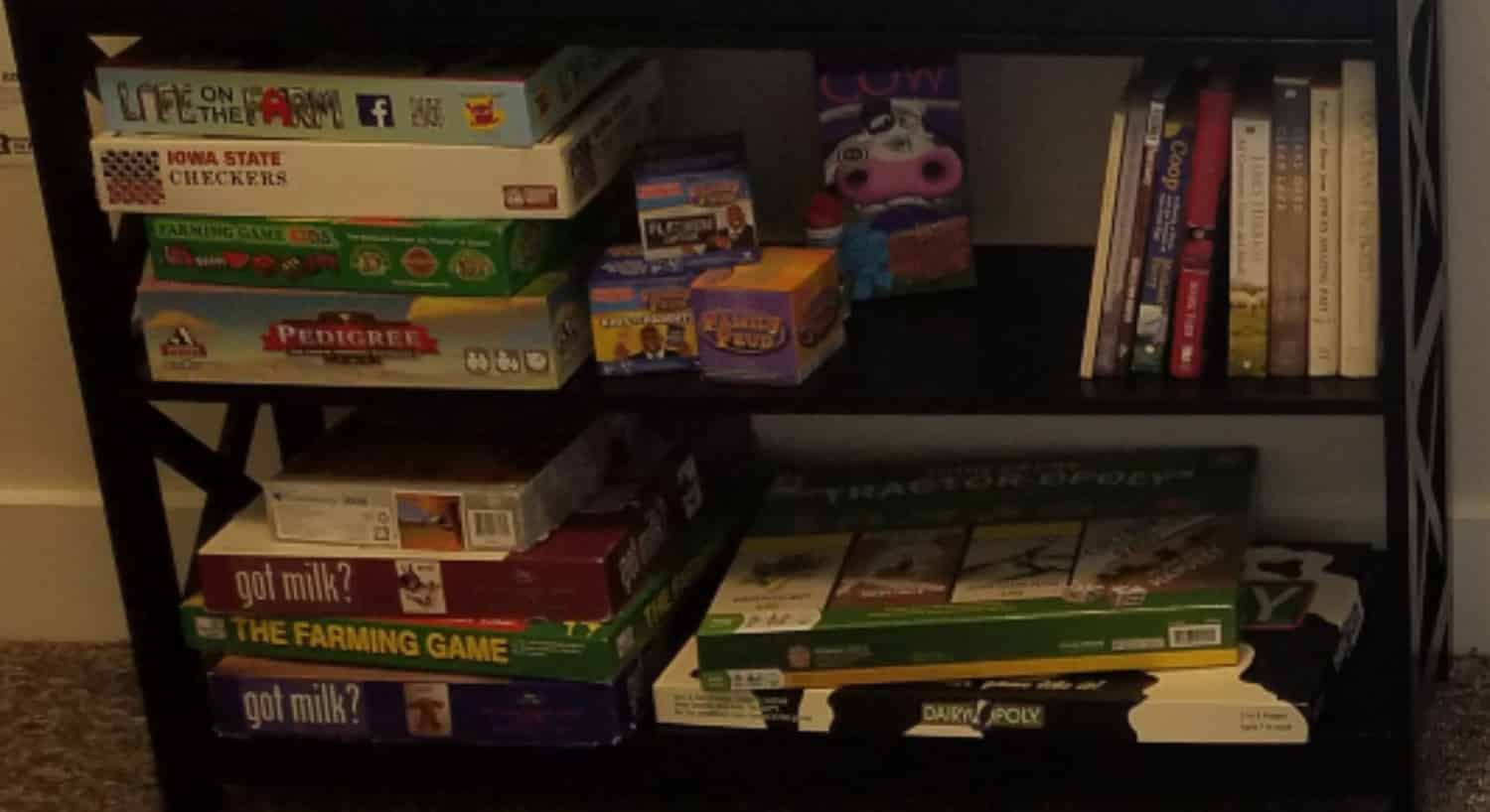 shelves with games, puzzles, DVD's, and books
