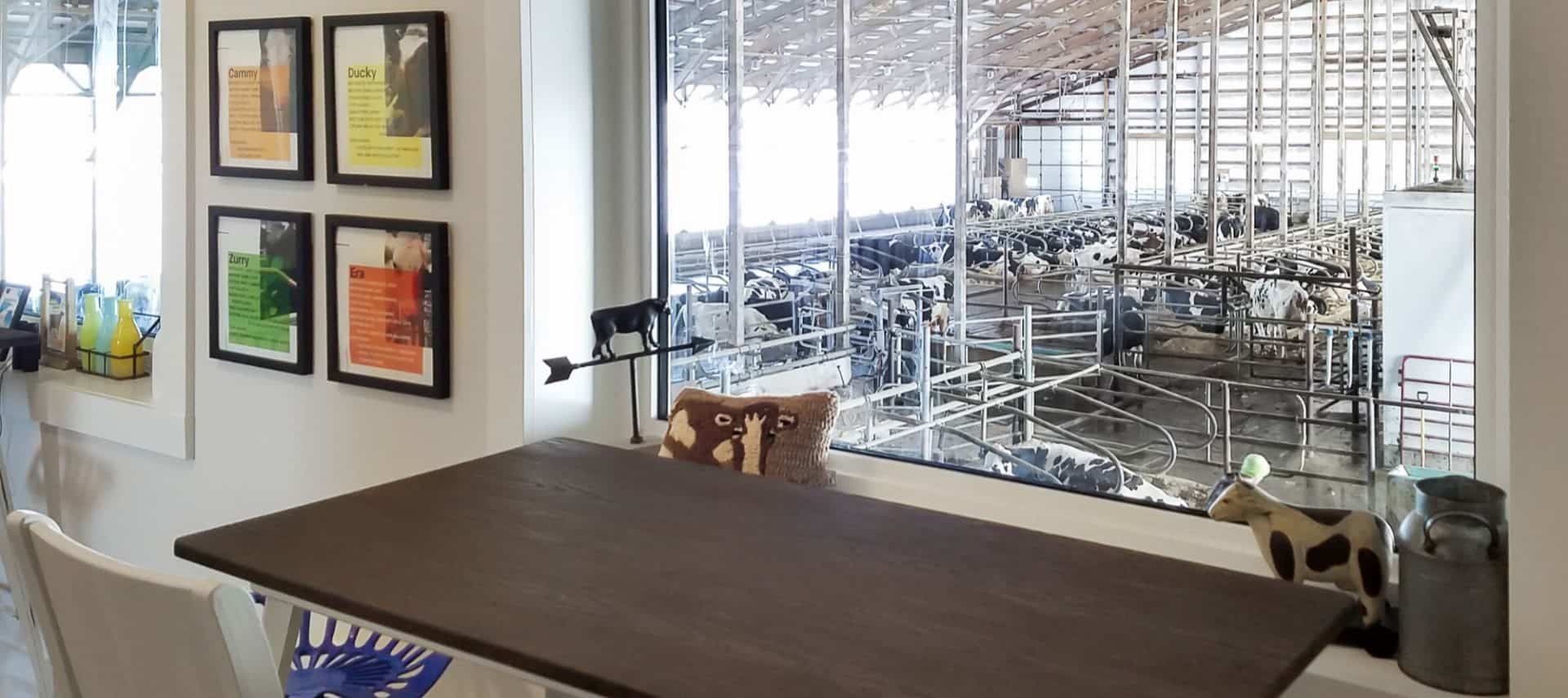 Room with a wooden table and chairs with a window overlooking dairy cow operations