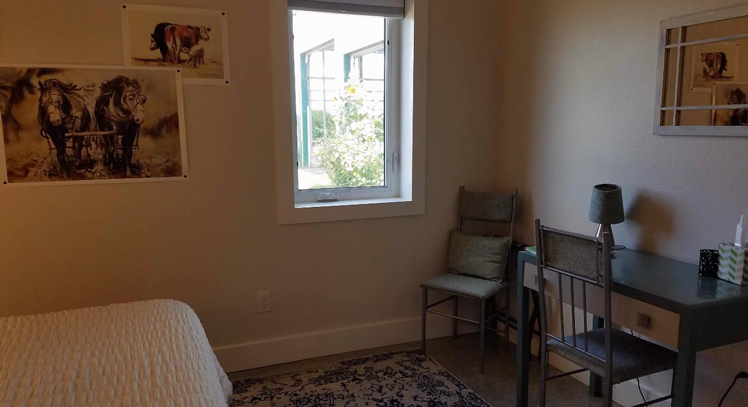 blue desk with lamp on top and 2 chairs with mirror above and window looking to outside with posters of horses on the wall