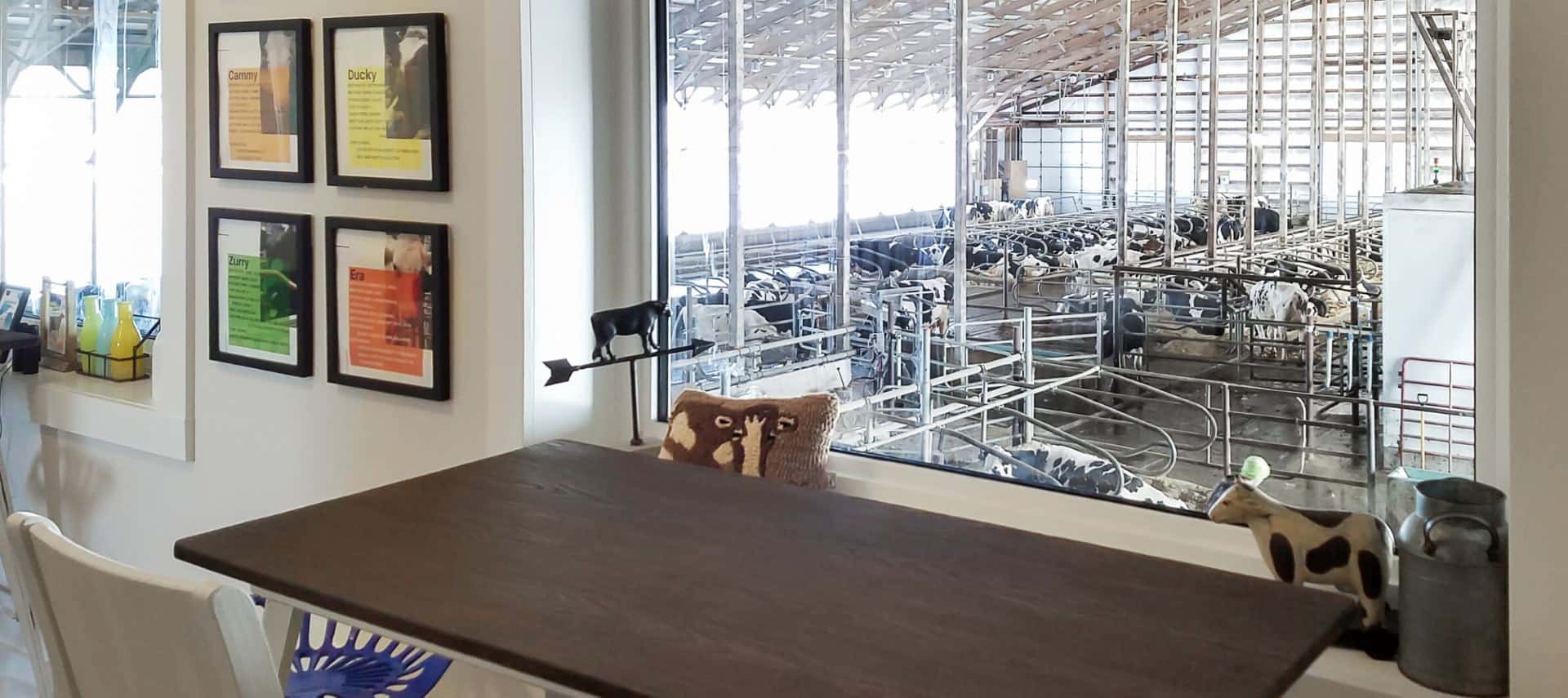 Room with a wooden table and chairs with a window overlooking dairy cow operations