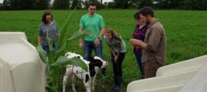 Group of people standing in a green field around a black and white calf in a small pen